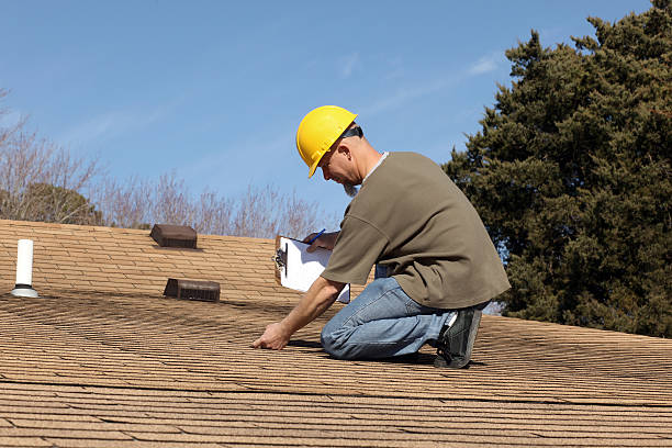 Best Roof Insulation Installation  in Las Palmas Ii, TX